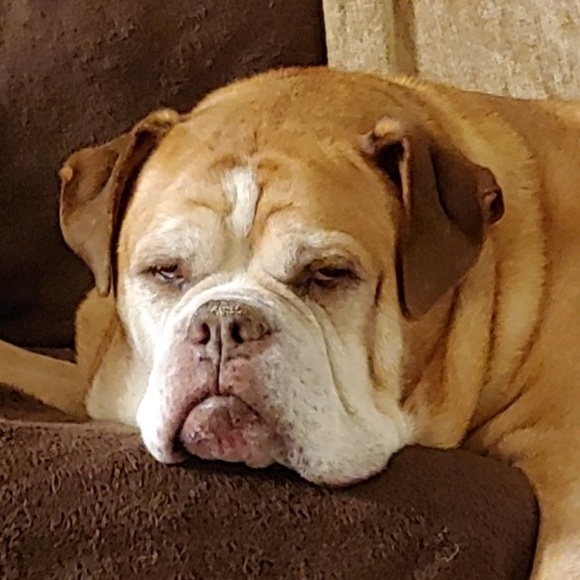 Meet your Posher, Becky - Picture 1 of 1